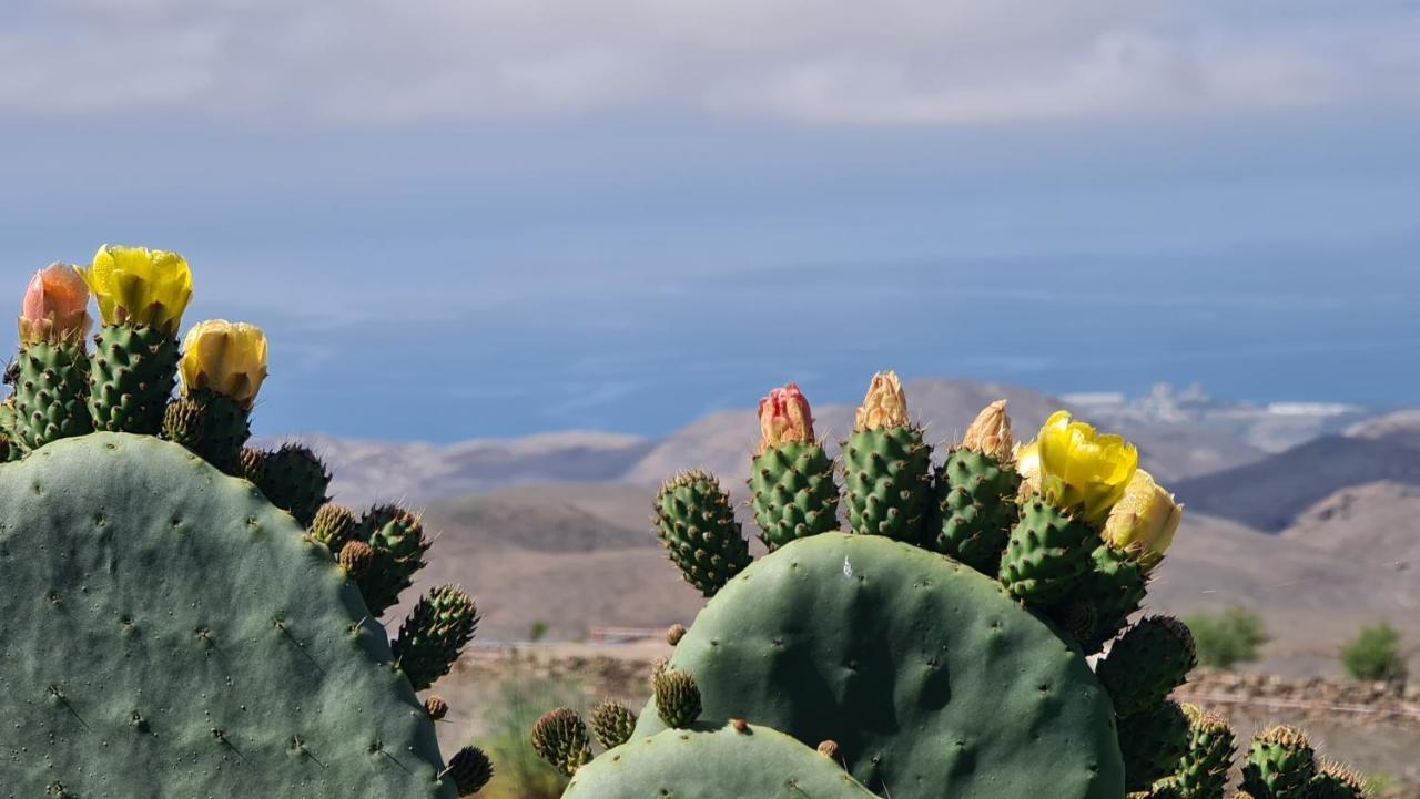 Puerto Rico Top Teide And Amadores View Exterior photo