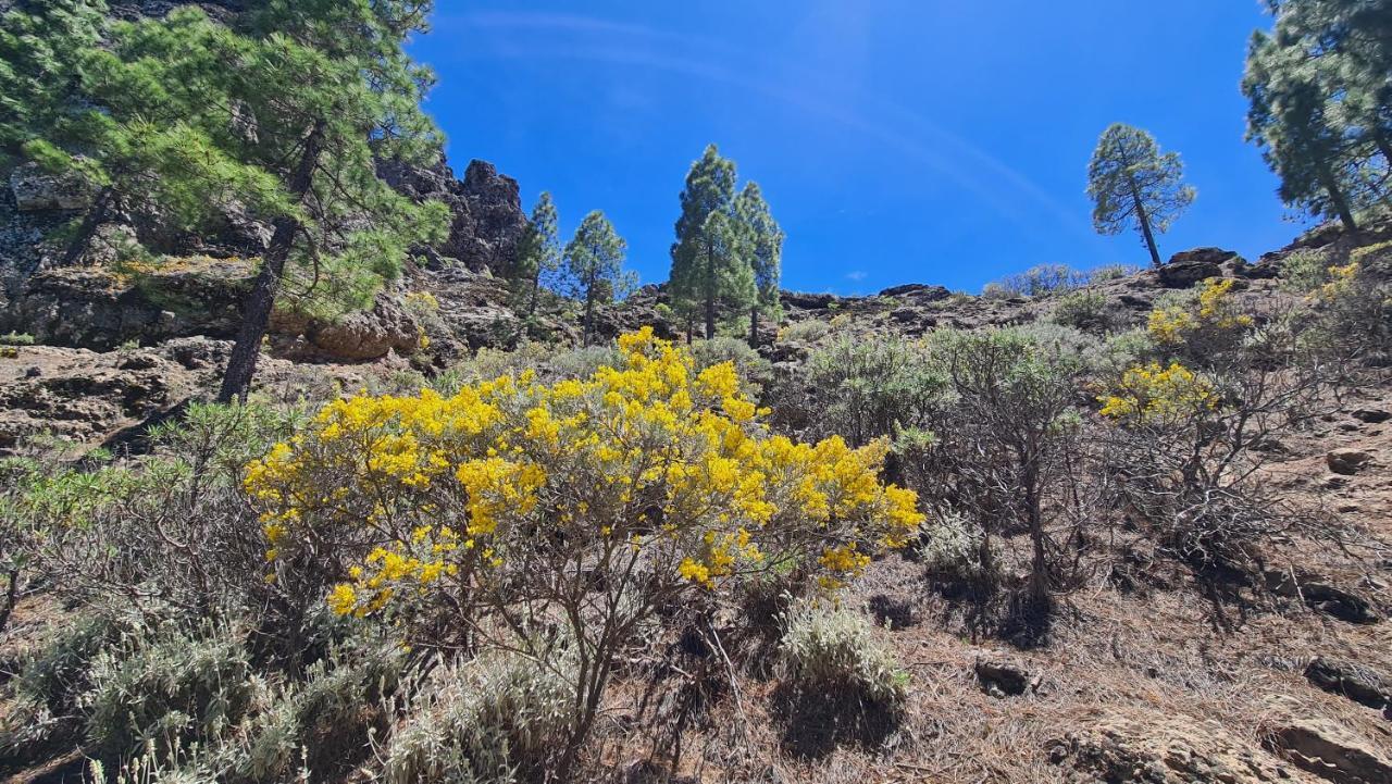 Puerto Rico Top Teide And Amadores View Exterior photo
